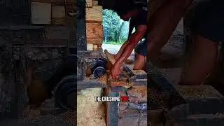 turning wood into wood fiber #feedshorts #shortvideo #viralshort