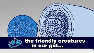 Digestion: The Friendly Creatures in Our Gut