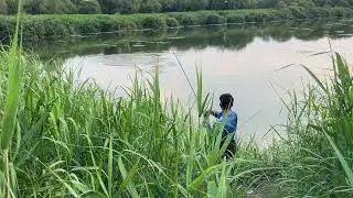 Fishing on the riverbank Ang hook in Korea  #fishing #fishingkorea #fishinggear