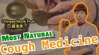 Making the Most Effective Natural Cough Medicine with Chinese Monk Fruit | 最天然的止咳&ldquo;藥&rdquo; - 潤肺羅漢果甘草茶