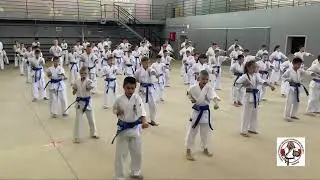 Аттестация на пояса 27-28.05.2022