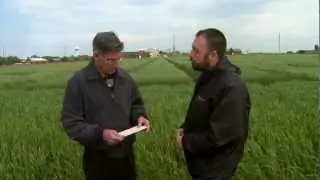 Market Monitor: Grain Market Analysis