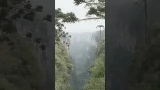 A Canyon FULL of Waterfalls?! Brazil&rsquo;s Hidden Natural Wonderland 🌊🏞️