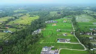 Красота Бали с дрона, Убуд. Beauty of Bali from drone, Ubud