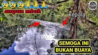 NEKAT MANCING DI DANAU ANGKER HUTAN LEBAT KALIMANTAN PENGHUNINYA SAMPAI MARAH ‼️