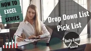 Excel drop down list or picklist 