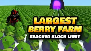 Largest Berry & Blackberry Farm on Roblox Islands