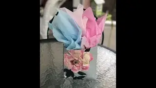 Hallmark 5