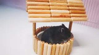 So baust du einen Brunnen für deinen Hamster! This is how you build a well for your hamster!
