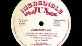 Junior Delgado - Bushmaster M16