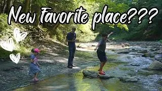 Beautiful Wintergreen Gorge Erie, Pa