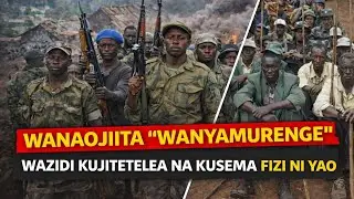 WANAOJIITA “WANYAMURENGE”: MILIMA YA FIZI-MWENGA-UVIRA NI YETU/ MWENYE NGUVU NDO ATAFUKUZA MWENZAKE