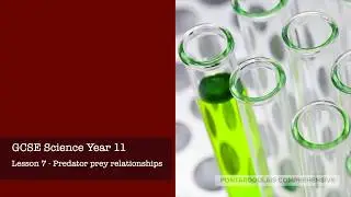 GCSE Science Year 11   Lesson 7   Predator prey relationships