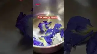Dye natural colour #gauriscreativeskills #dye #shorts #mithilaart