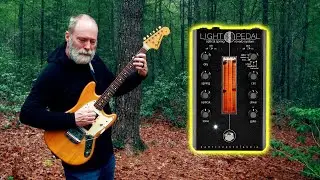The Reverb Pedal that Lit up the Forest