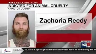 Man accused of punching, kicking dogs is indicted for animal cruelty