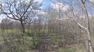 Hiking in Texas. Cross Timbers Trail