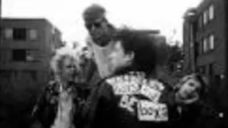 Bristles-Bristles song/dont give up