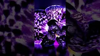 Bloomtanica A floral experience by Jeff Leatham