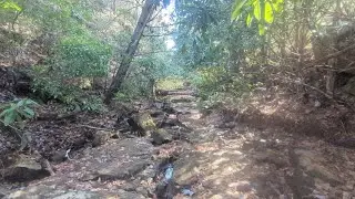 Ходячее сухое русло ручья