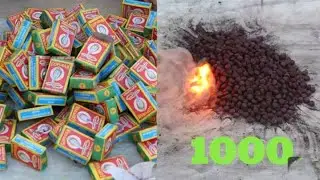 1000 Snake Bomb🐍 It Onec Fire Diwali Crackers Testing-1000 Black Snacks it Once This Diwali 2020