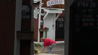 NC Gov. Stein on Southport shooting: 'We must do better to keep people safe'