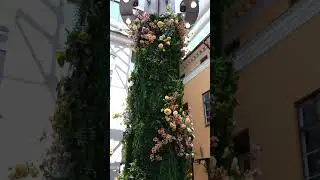 Турку (Финляндия)