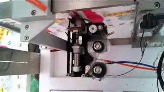Dumpling weighing packaging machine   Hangzhou Heng   HD
