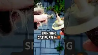 Can You Spin CAT HAIR Yarn?! 🐱 #spinningyarn