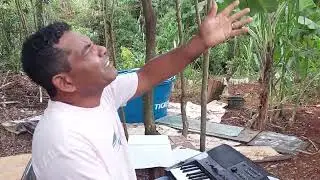 O para&iacute;so 