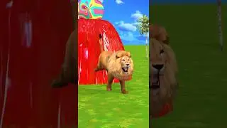 🐘🦁 Animals fountain crossing 3d animation
