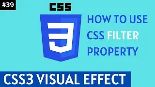 How to use CSS Filter Property Part 39 || CSS3 Visual Effects || programmer shakil