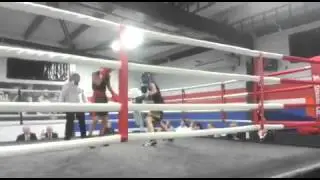 Andrew Taylor pinewood Starr