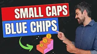 Blue Chips e Small Caps: Qual a Melhor Op&ccedil;&atilde;o para Investir?