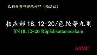 相应部18.12-20 (SN18.12-20)