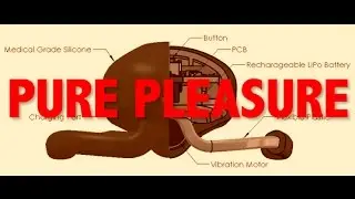 Revolutionary Hands Free Vibrator 