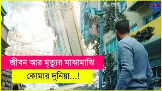 Coma (2019) Movie Explained In Bangla | Survival | Thriller | Fantasy | Cine Concise