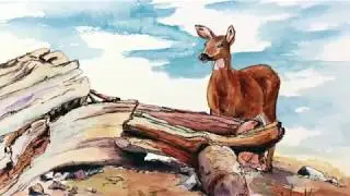 Introduction to Virtual Show -  Wild n Free  by Wendy Mould