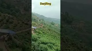 Darjiling......