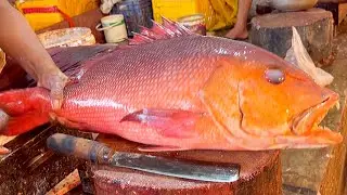 Amazing Cutting Style | Big Red Snapper Fish Cutting By Expert Fish Cutter Bangladesh