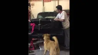 58 Buick trying to fire first time