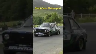 Ford Escort MK2 Rally Car Action