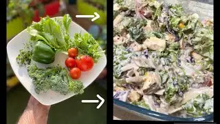 Garden Salad Made From Farm Fresh Veggies 🥗 | Harvesting Tips | Recipe | Vlog #18