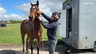 Stable Stories  - Sean Davis