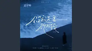 你就不要想起我 (超绝合唱版)