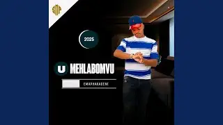 MEHLABOMVU_BAZWISE
