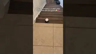 Husband fell down the stairs 😭 #robot #longdistancerelationship #husbandwife #camera