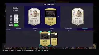 FIFA 21 PRIME OR MID ICON PICK