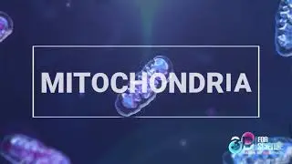 Mitochondria and free radicals damage - 3D video