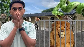 A Zoo Inside a House... You Won't Believe It's Real😳